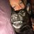 Kathleen Weber Carlin's profile image