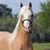 Bobbi Kay Noble's profile image