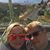 Lori M Gnau's profile image