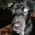 John Kiggins's profile image