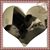 Johanna Ciccone's profile image