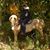 Anne Wyland's profile image