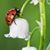 Lara Bubeck's profile image