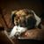 Cathy Huggins Gore's profile image