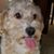 Jennifer Mae Hahn's profile image