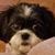 Lynn Johnson's profile image