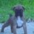 Tonya Hedleston's profile image