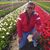 Humberto Molina's profile image