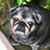 Rose Myers Hesser's profile image