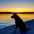 Dakin Gunn's profile image