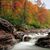 Linda Halbritter Kessler's profile image