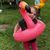Sandra Gabriel's profile image