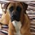 Mendell M Smith's profile image