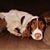 Richard Walker's profile image
