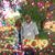 Phyllis Ann Anderson's profile image