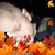 Tami Bolster's profile image