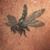 Dave Eck's profile image