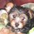 Larry Laughman's profile image