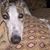 Judith E. Tuggle's profile image
