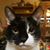 Ginnie Welsh's profile image