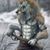 Jered Day's profile image