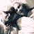 Stephen Payne - Paynie's profile image