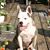 Jeremy D. Ezell's profile image