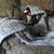 Diane Wendel's profile image