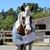 Bonnie Fletcher-Kaiser's profile image