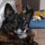 Ronni Fraenza's profile image