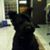 Maximus Hage's profile image