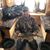 Chris Severson's profile image