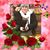 Sharon Howe's profile image
