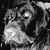 Wes Elbertson's profile image