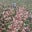 Faris H's profile image