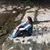 Lori Rouse Gutierrez's profile image