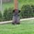 Gena Longstreth's profile image
