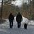 Sue Ann Carter's profile image