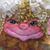 Jessica Ann Humphrey's profile image