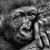 Steve Vit's profile image