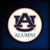 Traci Baine Greene's profile image