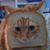 Roger Behrman's profile image