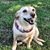 Suzie Demers Darr's profile image