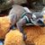 Joziah Hannon's profile image
