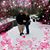 Danenne Moreno's profile image