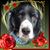 Gwen Kline's profile image