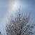 Connie Childs Peterson's profile image