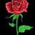 Sayeed Ibrahim's profile image