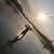 Andrew Lachin's profile image