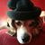 Janet Strang Sayer's profile image